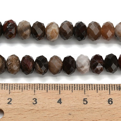 Natural Petrified Wood Beads Strands G-Z111-A50-1