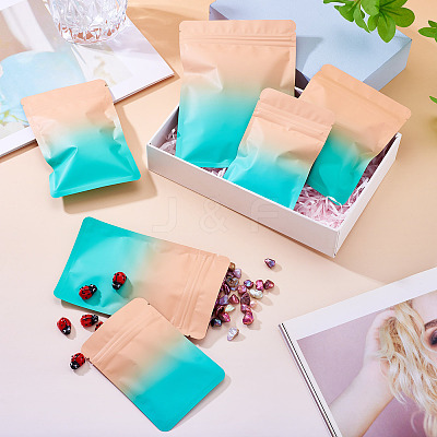 100Pcs 4 Styles PET Zipper Bags OPP-TA0001-19A-1