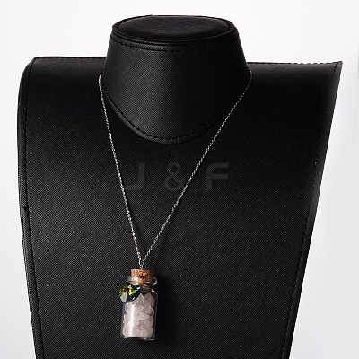 Glass Bottle Pendant Necklaces NJEW-JN01329-1