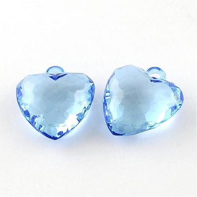 Transparent Acrylic Pendants TACR-R131-02-1