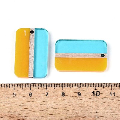 Transparent Resin & Wood Pendants RESI-T057-75-1