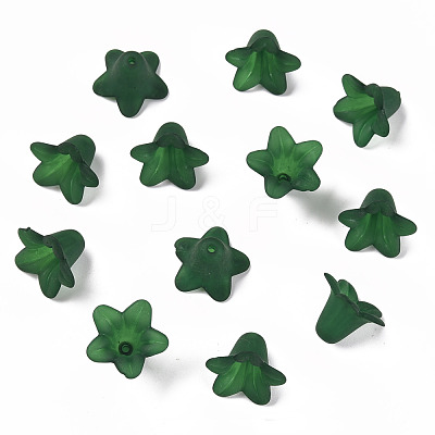 Transparent Acrylic Beads PLF018-09-1