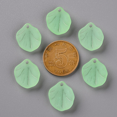 Transparent Frosted Acrylic Pendants MACR-S371-02A-733-1