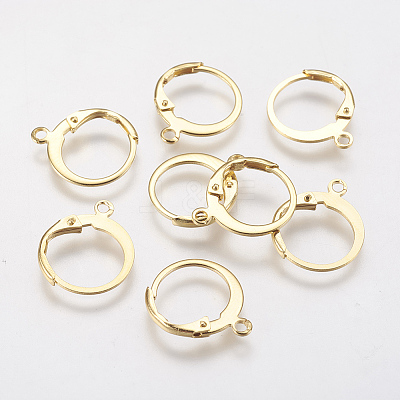 304 Stainless Steel Leverback Earring Findings LS-STAS-F141-02G-1