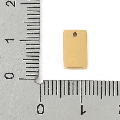 304 Stainless Steel Mirror Polished Finish Stamping Blank Tag Charms STAS-D365-07G-1