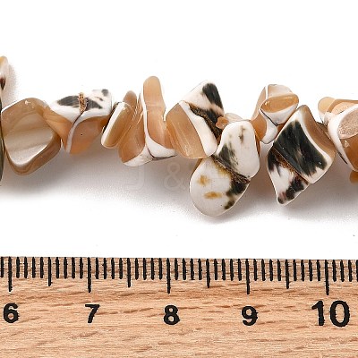 Natural Trochid Shell/Trochus Shell Beads Strands SHEL-B003-02A-1