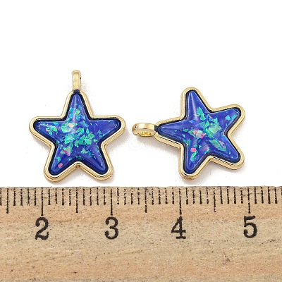 Translucent Resin Pendants KK-M291-24D-1