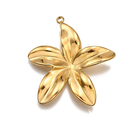 304 Stainless Steel Pendants X-STAS-M116-03G-1