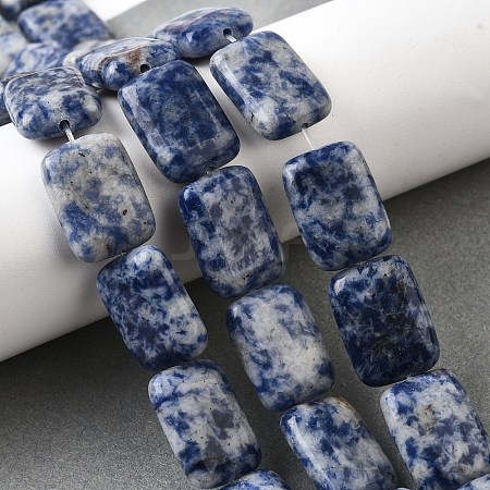 Natural Blue Spot Jasper Beads Strands G-S386-A05-1