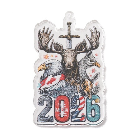 Football Theme Printed Transparent Acrylic Pendants OACR-B055-03B-1