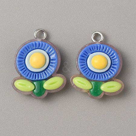 Translucent Resin Pendants RESI-TAC0019-08E-1