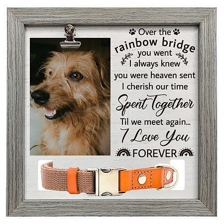 MDF Pet Photo Frames DIY-WH0525-019-1