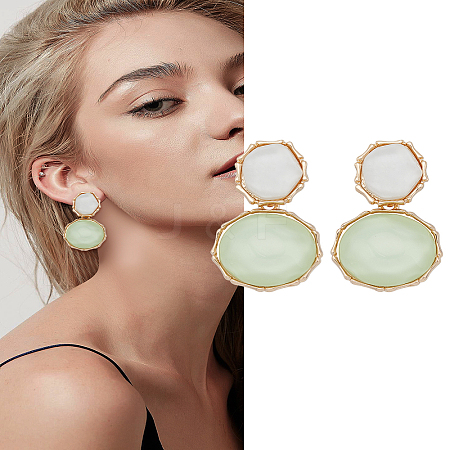 1 Pair Resin Dangle Stud Earrings EJEW-LP0004-82B-1