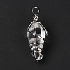 Glass Wire Wrapped Pendants G-D458-05P-12-RS-5