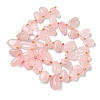 Natural Rose Quartz Beads Strands G-P604-A21-01-5