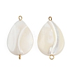 Natural Shell Teardrop Connector Charms STAS-D378-28G-1