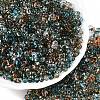 Spray Painted Glass Seed Beads SEED-T007-08A-3