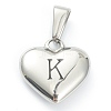 304 Stainless Steel Pendants STAS-P278-01K-P-1