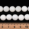 Natural White Shell Beads Strands G-T141-21-5