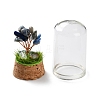 Natural Lapis Lazuli Chips Money Tree in Dome Glass Bell Jars with Wood Base Display Decorations DJEW-K030-02B-3