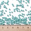 TOHO Round Seed Beads X-SEED-TR08-0413F-4
