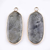 Natural Labradorite Pendants X-G-T112-23A-2
