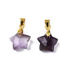 Natural Amethyst Charms X-G-N326-142-03-2