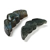 Natural Labradorite Carved Cabochons G-C152-07-2