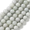 Natural Myanmar Jadeite Beads Strands G-L595-C01-03-1