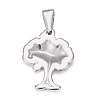 Tarnish Resistant 304 Stainless Steel Pendants STAS-H110-17P-2