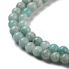 Natural Amazonite Beads Strands G-J400-D06-01-4