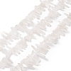 Natural Quartz Crystal Pointed Beads Strands G-L484-03-1