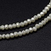 Faceted Rondelle Full Rainbow Plated Electroplate Glass Beads Strands X-EGLA-M004-2mm-A17-2