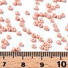 Glass Seed Beads SEED-S060-A-F414-5