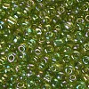 6/0 Round Glass Seed Beads SEED-US0003-4mm-164-2