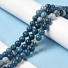 Natural Dyed White Jade Beads Strands G-M402-C03-3