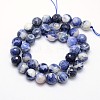 Natural Sodalite Beads Strands G-L149-10mm-01-2