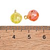 Electroplate Glass Pendants PALLOY-JF05532-05-3