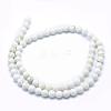 Natural Magnesite Beads Strands TURQ-G148-09-6mm-2