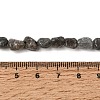 Natura Black Rutilated Quartz Beads Strands GG-CBAC13F-A02-02-5