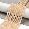 Natural Yellow Quartz Beads Strands G-G155-B03-01-2