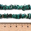Natural HuBei Turquoise Bead Strands G-H345-A01-13-5