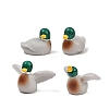 Resin Duck Miniature Figurines RE-CBA17C4-09-1
