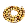 Natural Imperial Jasper Beads Strands G-N342-63J-3