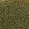 TOHO Round Seed Beads X-SEED-TR11-0991-2