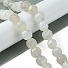 Natural White Agate Beads Strands G-H023-A19-01-2