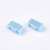 2-Hole Opaque Glass Seed Beads SEED-S023-06K-2