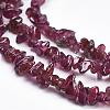 Natural Garnet Beads Strands G-K204-01-3