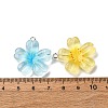 Transparent Resin Pendants RESI-A046-05B-4