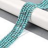 Synthetic Turquoise Beads Strands G-U004-02P-2